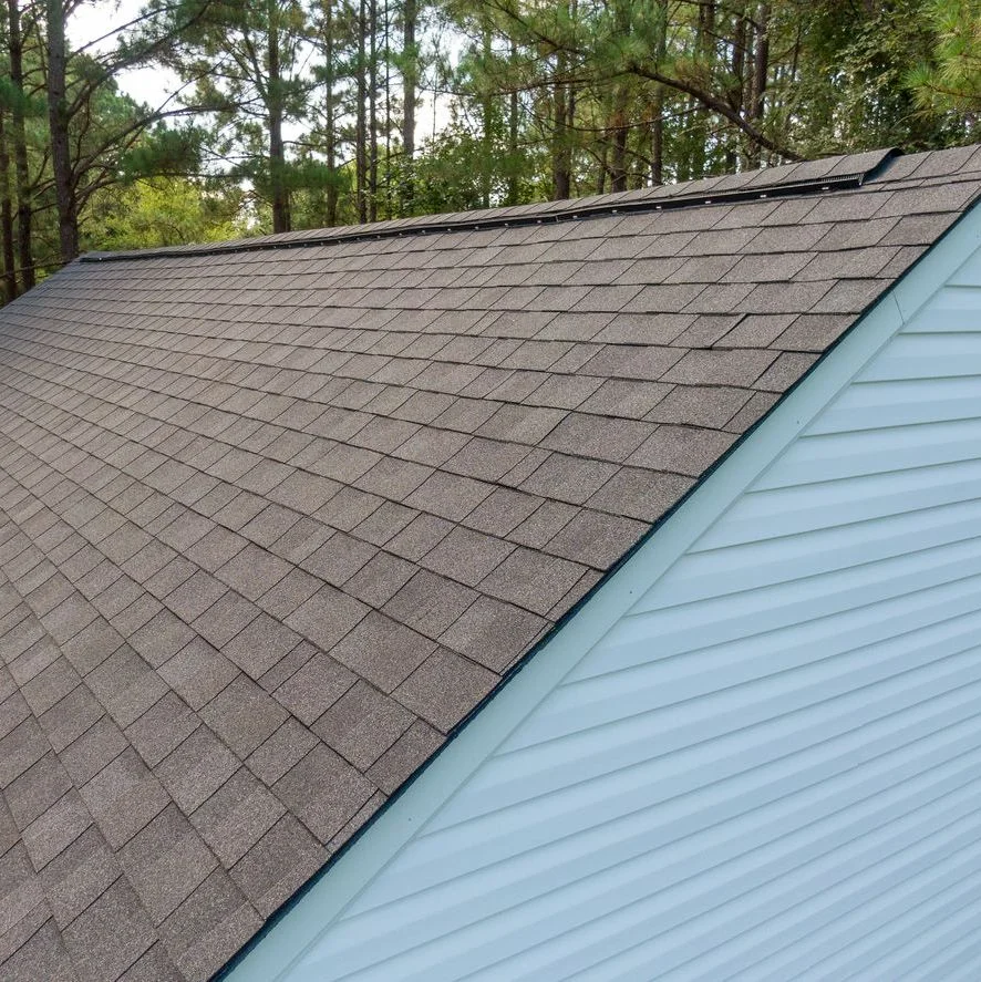 roof-2